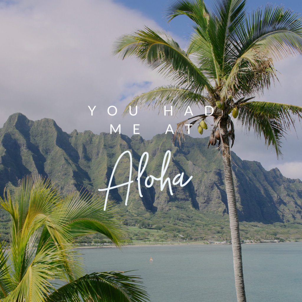 Hawaii Travel Agent