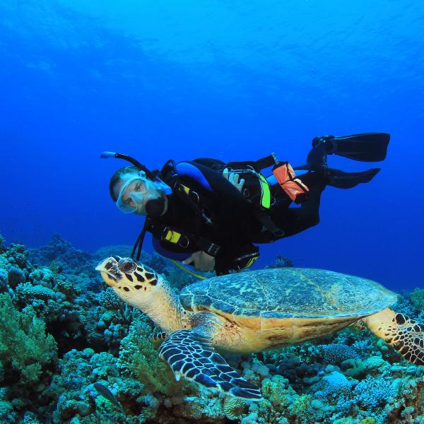 Man scuba diving with turtle